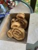 IMG_9262.jpeg