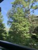 IMG_9264.jpeg