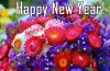 Happy New Year Flowers.jpg