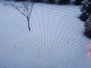 20211225_071637.jpg