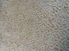 72054E27-2580-4B43-85DB-C9199FB81707.jpeg