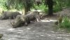 DSC00076.JPG