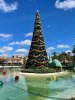 IMG_2022-1-2-191613.jpg