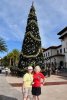 IMG_2022-1-2-192921.jpg