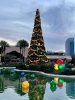 IMG_2022-1-2-192712.jpg