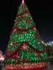 tree.jpeg tree.jpeg
