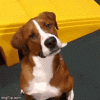 200.gif