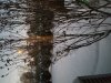 20220107_165614.jpg