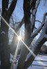 9B591982-3FCB-449D-9BEB-9A876A6F1720.jpeg