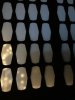 IMG_3910.JPEG