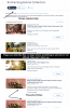Example of offerings - for March 12 '22.png