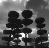C8399907-55BC-4842-AE59-A0A0DF414474.jpeg