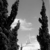 E77D02ED-5C4C-4E9E-A41F-9A4DD32A1FE2.jpeg
