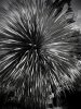 7D7BE648-0AD0-4285-96F1-4868EF71ED47.jpeg