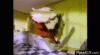 E9B3A36F-926F-42D7-BFFE-ECB816EA98FA.gif