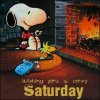 Snoopy.jpg