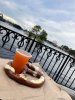 IMG_6772.jpeg