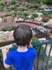 IMG_8066.jpeg