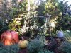 20211102_090821.jpg