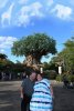 Disney 59.jpg