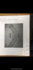 421BA326-03E0-4AEF-B4B8-B8E6AB2D4A8A.png