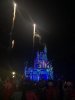 IMG_8911.jpg