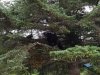 2017-07-29 13.18.57-4.jpg