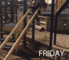 840EF169-212C-4806-BF48-D693C6EAC2B5.gif