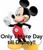 only-1-more-day-till-disney.png