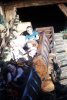 MK_MINETRAIN_20160821_7779817772.jpeg