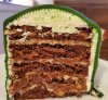 Amorette's-boba fett cake insides.jpg