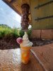 Aloha Isle-tropical serenade 1.jpg