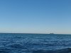 20220115_164847.jpg