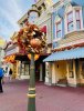 IMG_3371.jpeg