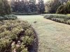 IMG_3380.jpeg
