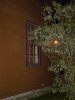 DSC09795 light on.jpg