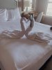 2BD40656-8EEF-4A2F-BD86-41432358E3D2.jpeg