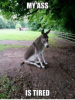 B2710A14-D4F9-48AE-9B27-442BD3A91041.png