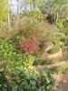 IMG_4231.JPEG