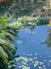IMG_4233.JPEG