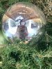 IMG_4228.JPEG