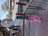IMG_9952.jpeg