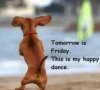 0830B145-8BE0-4937-BD76-0F444C2DFDCB.jpeg