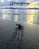 F3DA0B4D-C639-42CC-95EB-7EF868E58C77.jpeg