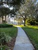 WH sidewalk.jpg