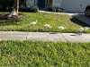 WH walk.jpg WH walk.jpg