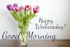 294095-Happy-Wednesday-Good-Morning.jpg