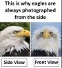 B6F7E684-664B-484A-A92A-63F69A5420ED.jpeg