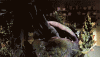 8AC53538-90F0-454A-BC8C-01B318BB5EEF.gif