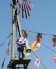 A082242C-EC18-42F8-9862-8FC5EA0253C1.jpeg